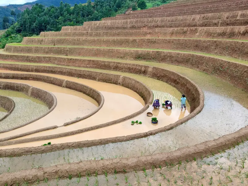 农用地膜与滴灌带搭配使用：西南地区种植户节水增效的实用方案解析正文配图 2