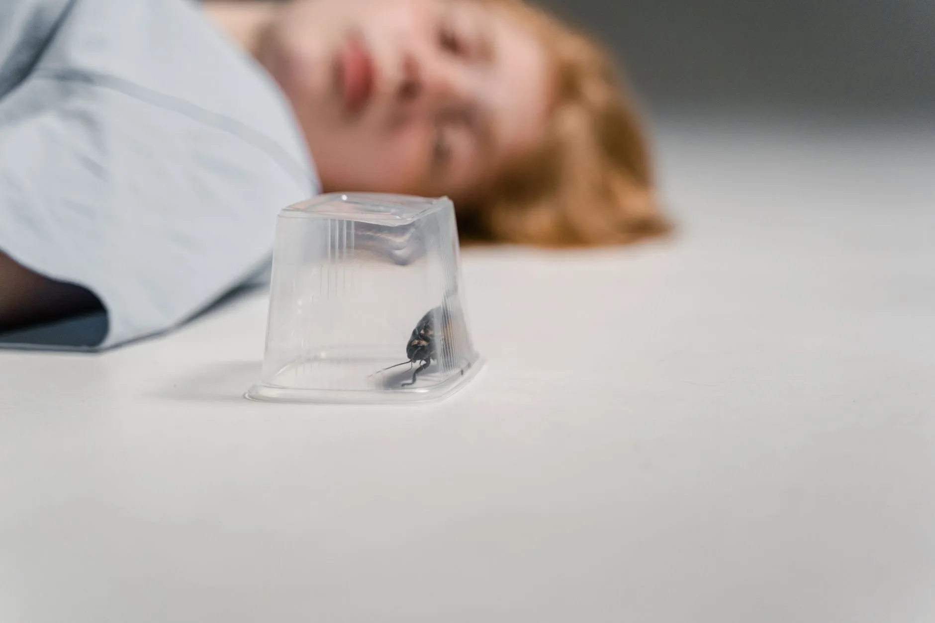 西南地区农用地膜覆盖栽培技术要点与选膜指南