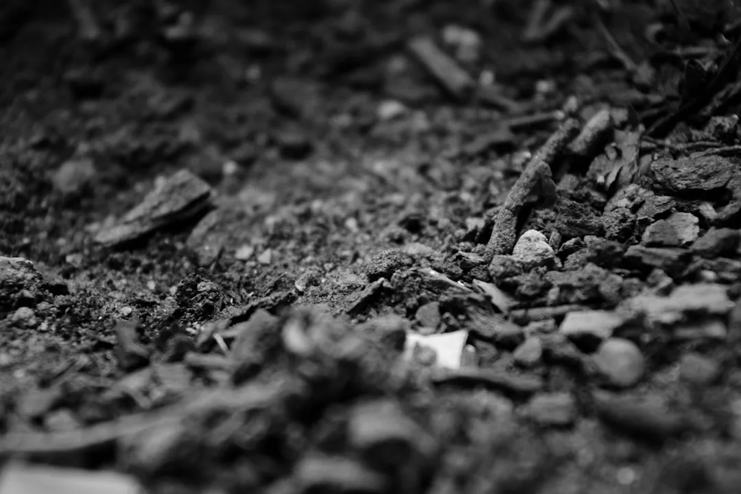 西南地区农用地膜覆盖栽培技术的应用优势与选择要点