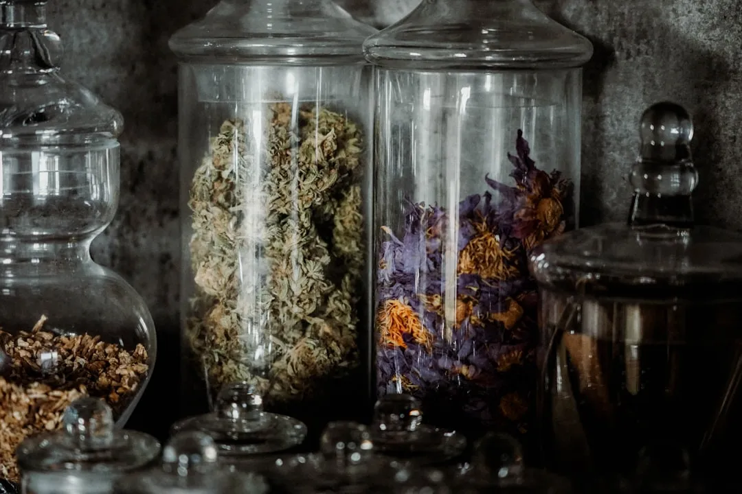 农用地膜与滴灌带配合使用对作物根系温度及水分保持的技术分析